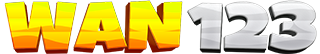 WAN123